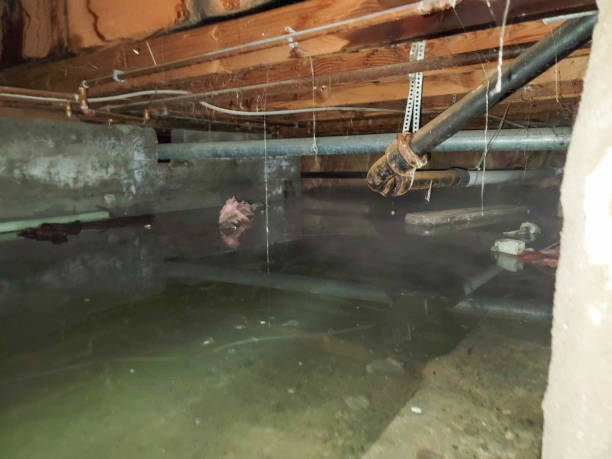 Best Sewage cleanup and water damage restoration  in Pendleton, OR