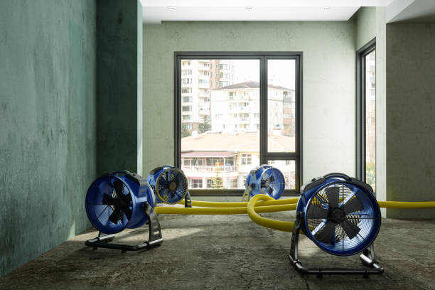 Best Local water damage restoration  in Pendleton, OR